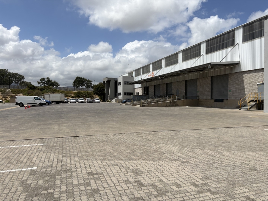 To Let commercial Property for Rent in Montague Gardens Western Cape